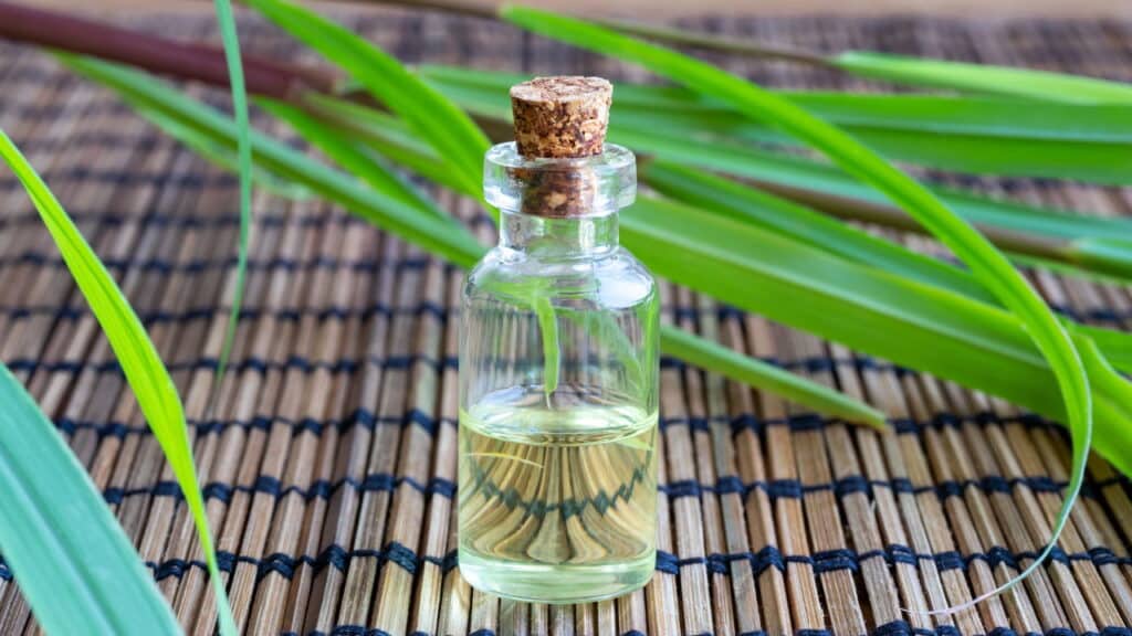 Quais alternativas naturais podem afastar abelhas sem machucá-las?