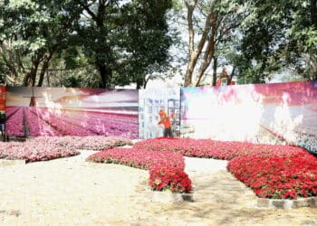 Créditos: depositphotos.com / thenews2.com