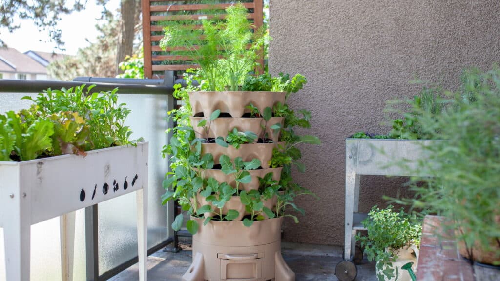 A melhor forma de montar uma horta em casa ou apartamento com pouco espaço!
