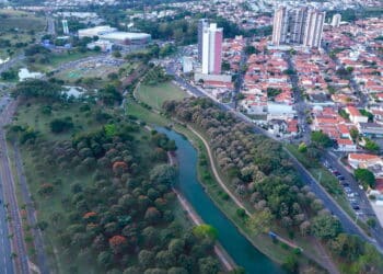 Créditos: depositphotos.com / PedroTruffi