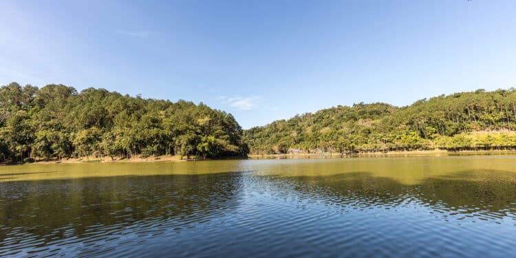 Brasileiros estão se mudando para essa cidade por ser a mais segura do país!