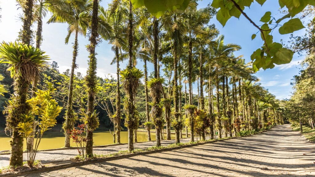 Brasileiros estão se mudando para essa cidade por ser a mais segura do país!