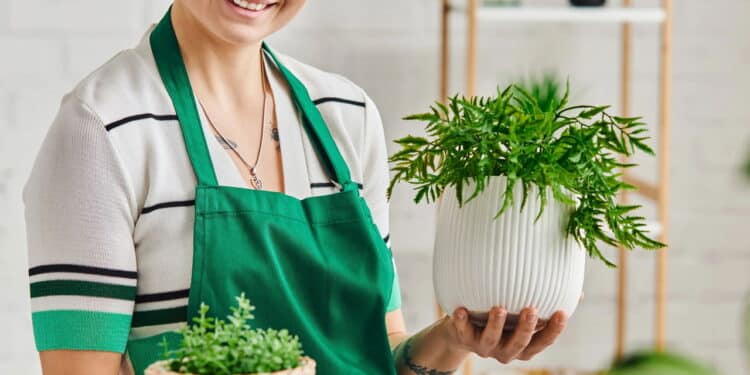 A planta secreta que promete devolver a cor natural do cabelo e eliminar os fios grisalhos