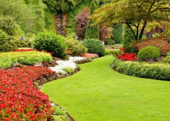 A técnica que jardineiros experientes estão usando para economizar água!