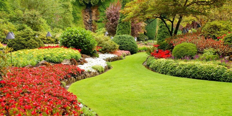 A técnica que jardineiros experientes estão usando para economizar água!