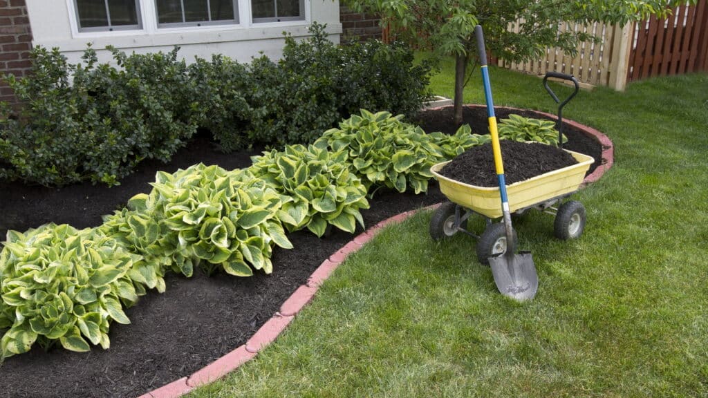 Este erro comum pode acabar com seu jardim em poucos dias!
