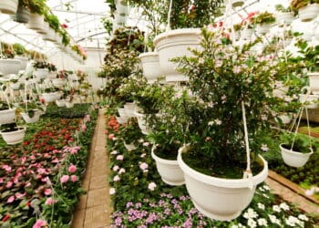 O jeito mais inteligente de criar um jardim sustentável e resistente!