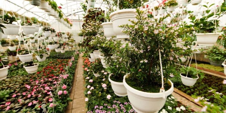 O jeito mais inteligente de criar um jardim sustentável e resistente!
