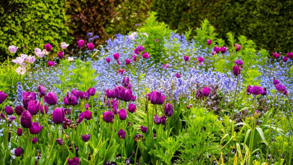 O jeito mais inteligente de criar um jardim sustentável e resistente!