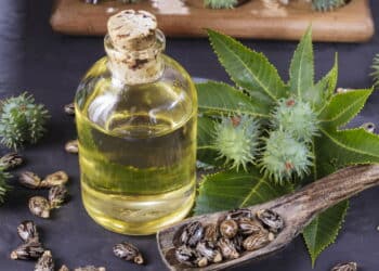 Uma dessas plantas já causou mortes e pode estar perto de você!