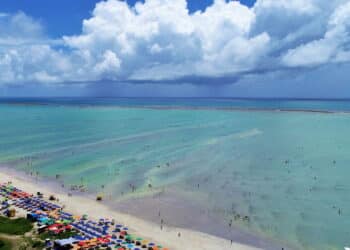 Créditos: depositphotos.com / Cristian_Lourenco