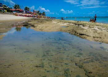 A praia mais custo-benefício do Brasil em 2025 fica em Alagoas!