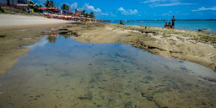 A praia mais custo-benefício do Brasil em 2025 fica em Alagoas!