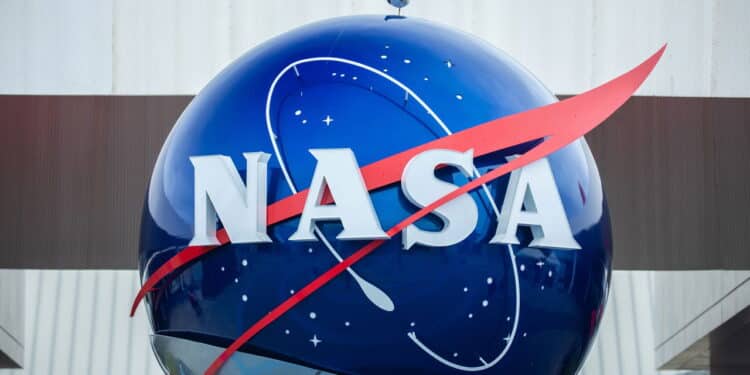 NASA revela segredo da planta que elimina até 73% das toxinas do ar!