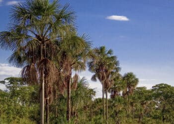 Essa cidade do Norte virou o novo xodó dos brasileiros por ser segura e acolhedora!