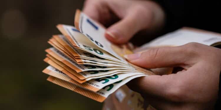 As 5 plantas usadas por empresários para atrair dinheiro e sorte!