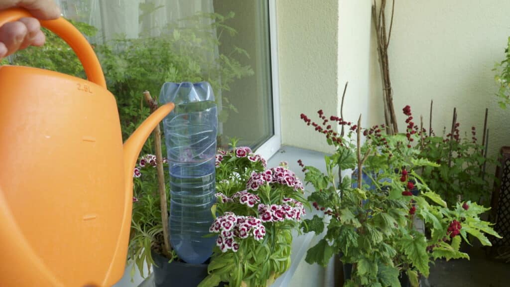 O truque com garrafa PET que virou febre entre quem planta em casa!