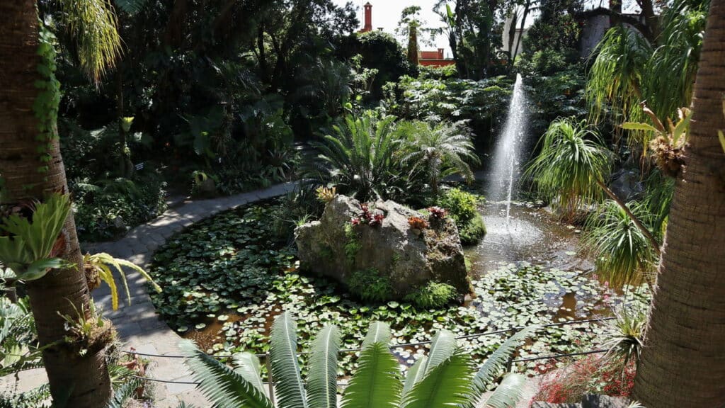As 5 plantas mais raras do planeta que poucos já viram!
