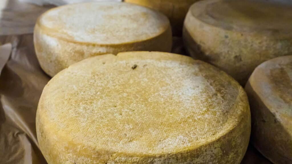Queijo popular está sendo recolhido de todos os mercados por risco grave à saúde!