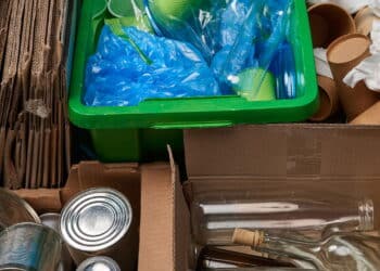 O que você pode criar com garrafas e papelão em casa vai te surpreender