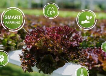 Você nunca mais vai cuidar das plantas do mesmo jeito depois disso!