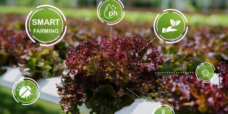 Você nunca mais vai cuidar das plantas do mesmo jeito depois disso!