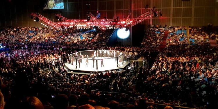 UFC - Créditos: depositphotos.com / nikiteev