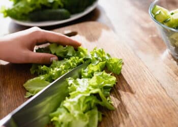 Veja passo-a-passo para cultivar alface em casa com garrafa pet