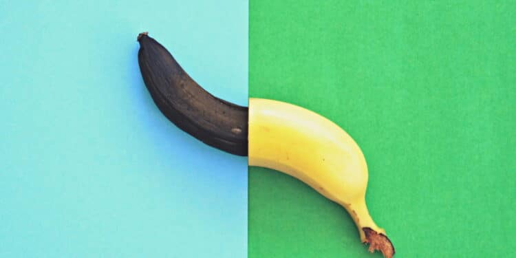 Banana envelhecendo. Créditos: depositphotos.com / maddas.