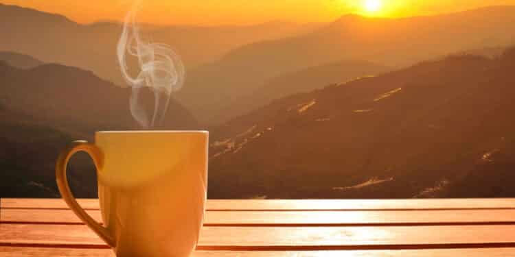 A descoberta mais animadora para quem ama café e quer envelhecer bem