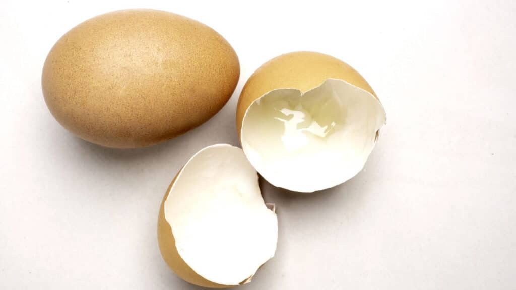 Créditos: depositphotos.com / diew