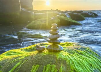 Créditos: depositphotos.com / huythoai1978@gmail.com