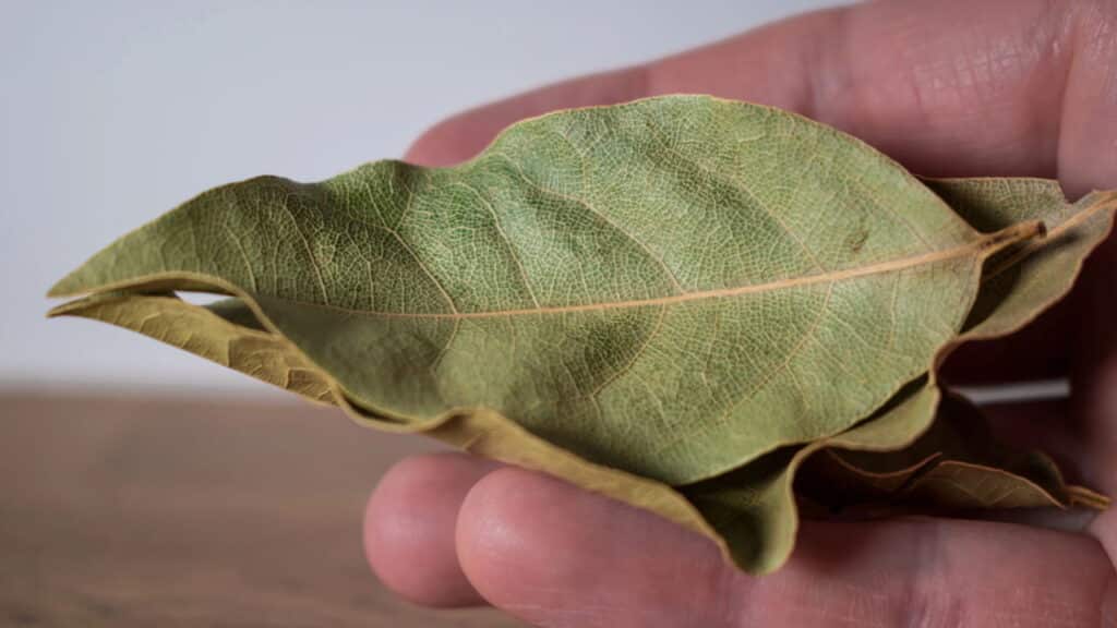 Créditos: depositphotos.com / Reflexpixel