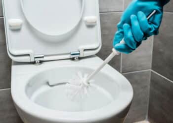 Método surpreendente para a limpeza do vaso sanitário