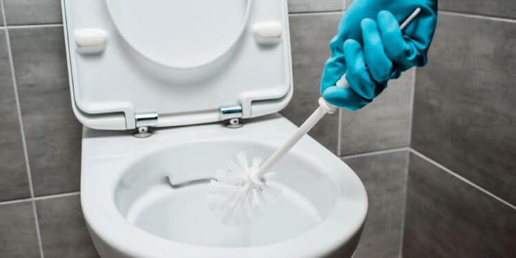 Método surpreendente para a limpeza do vaso sanitário