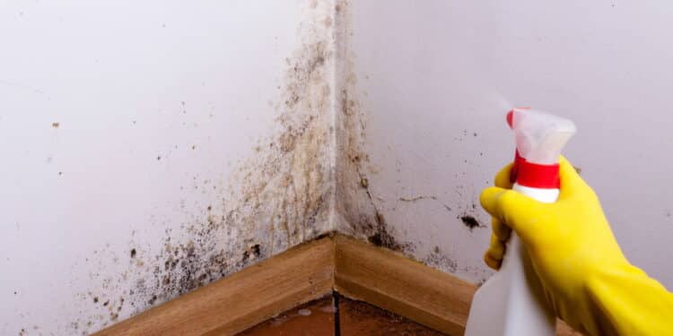 Créditos: depositphotos.com / cegli.o2.pl