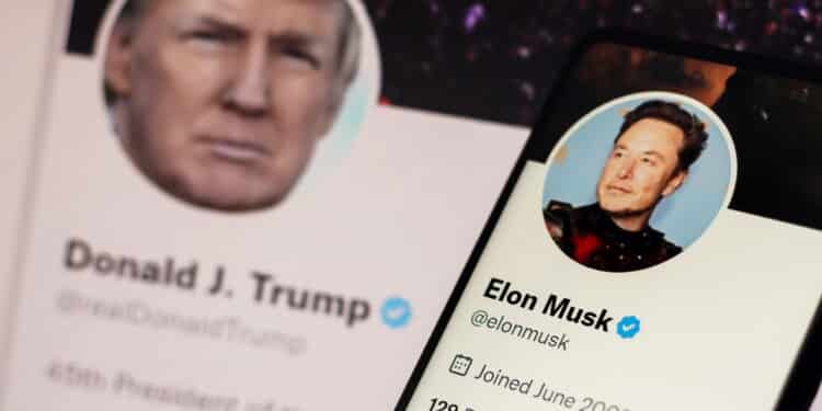 Musk apaga tuíte que ligava Trump a Epstein após 'guerra' nas redes