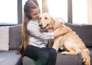 A recomendação pouco conhecida que pode prolongar a vida do seu pet
