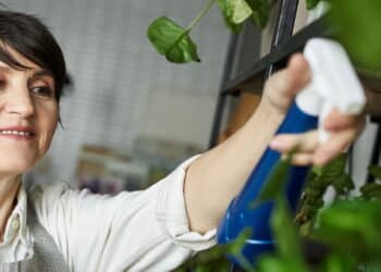 O melhor truque para deixar suas plantas mais verdes e fortes!