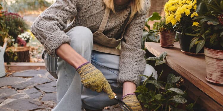 Como multiplicar plantas em casa: guia prático com estacas e sementes