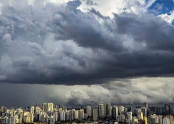 Créditos: depositphotos.com / Ranimiro