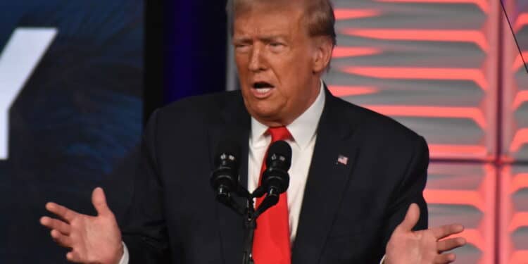 Trump afirma que Musk "sofrerá consequências" ao financiar Democratas