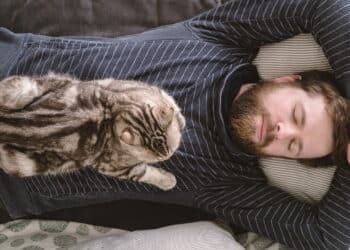 Inusitado: especialistas revelam o que faz seu gato te escolher ou ignorar