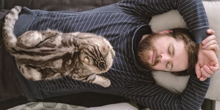 Inusitado: especialistas revelam o que faz seu gato te escolher ou ignorar