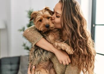 Tratar pet como bebê pode fazer mal? Veja o que os especialistas revelam