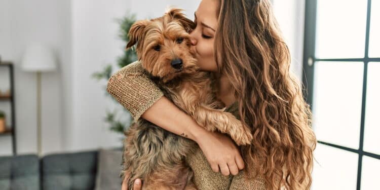 Tratar pet como bebê pode fazer mal? Veja o que os especialistas revelam