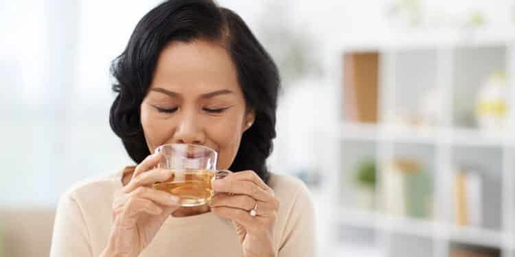 Pouco conhecido, este chá natural é aliado poderoso contra inflamações e baixa imunidade; veja como preparar