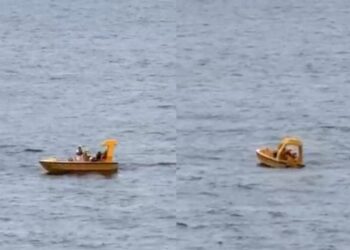 Desespero no mar: criança de 4 anos cai de navio da Disney e pai se joga para salvá-la; veja