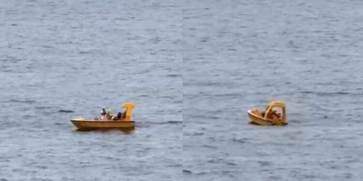 Desespero no mar: criança de 4 anos cai de navio da Disney e pai se joga para salvá-la; veja
