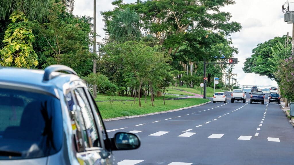 Novo ranking revela qual é a cidade mais arborizada do Brasil